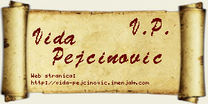 Vida Pejčinović vizit kartica